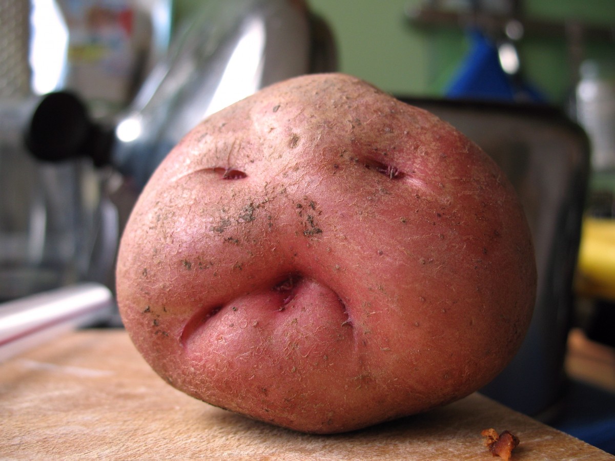 photo credit: grandpa spuderitzky needs a sponge bath via photopin (license)