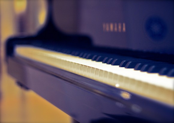 photo credit: Every time I touch you, I fall in love again ! via photopin (license)